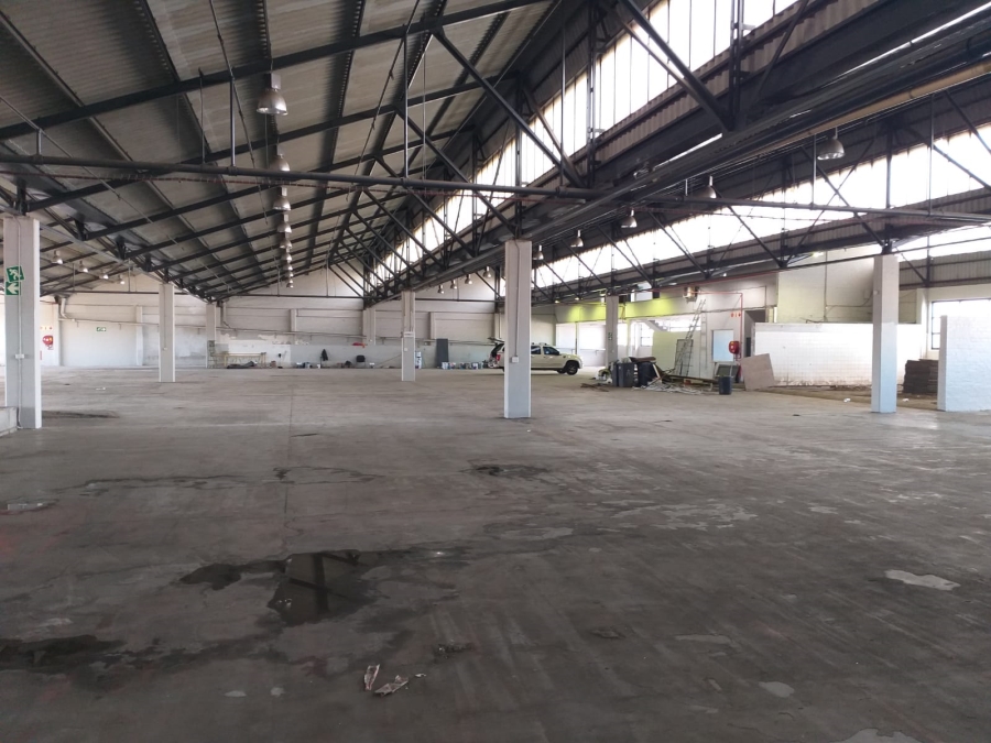 To Let Commercial Property for Rent in Paarden Eiland Western Cape